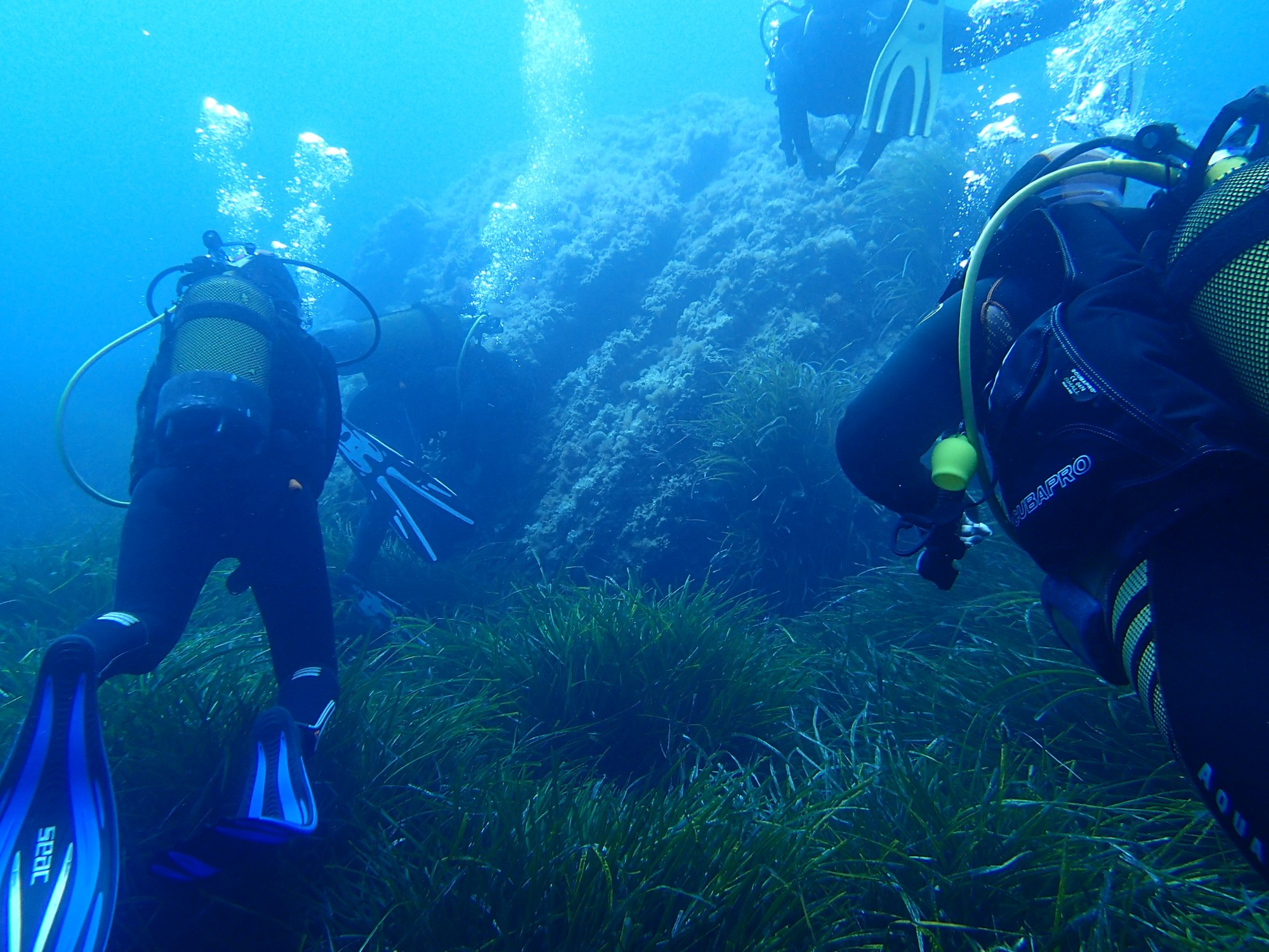 Plongée sous-marine - Photo : Pascale Cossin plongee-sous-marine-photo-pascale-cossin